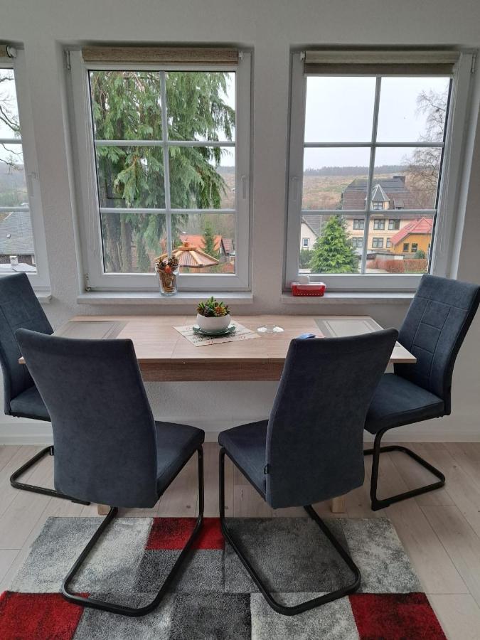 Appartement Haus Erna Schierke Extérieur photo